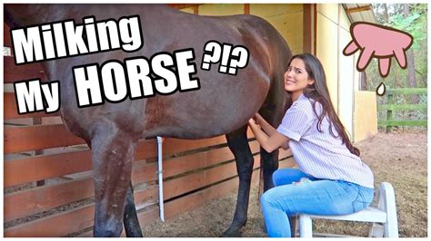 Compilation of hot oral and huge cumshots with horses .